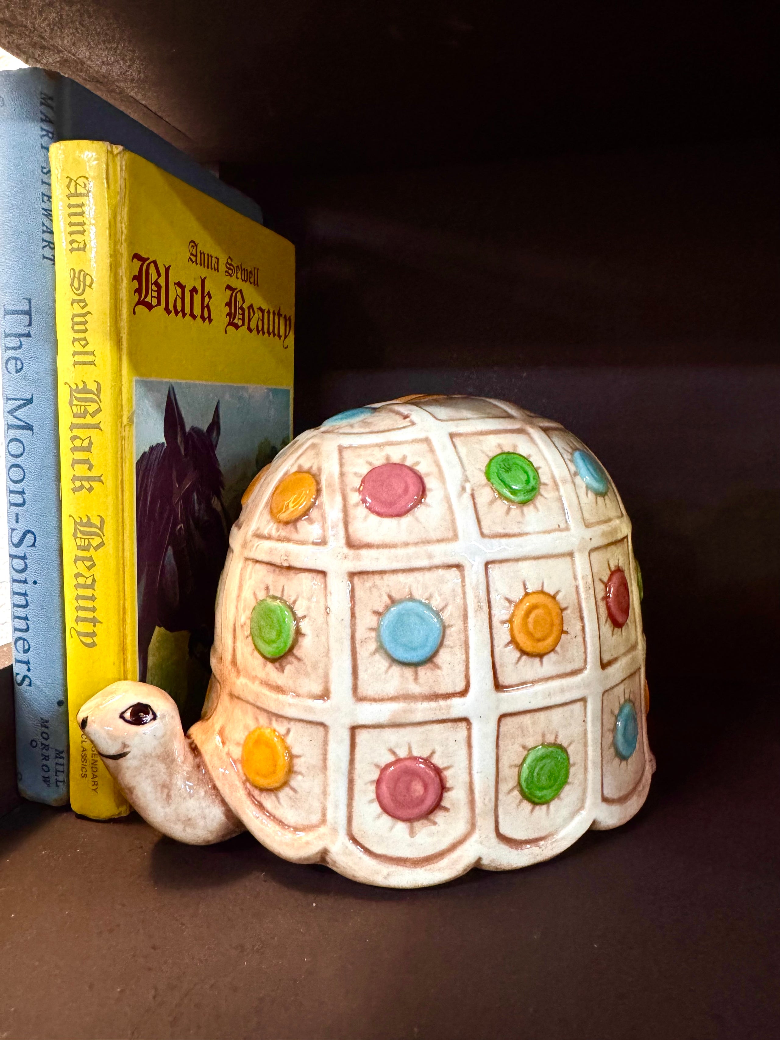 Homemade Ceramic Turtle Bank