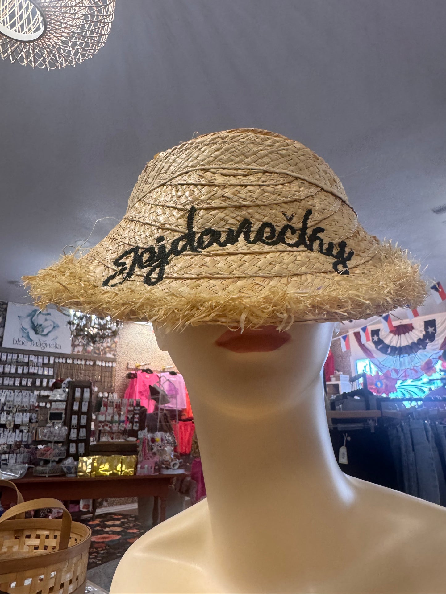 Jejdanečkey Sun Visors