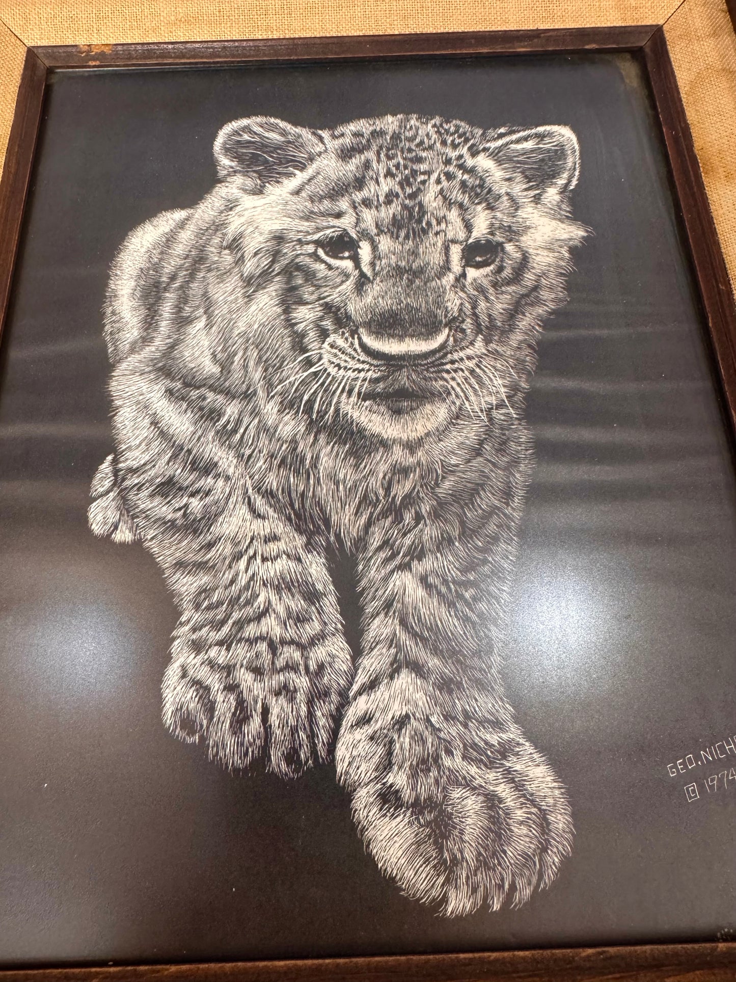 1974 George Nichols Scratchboard Cub Print