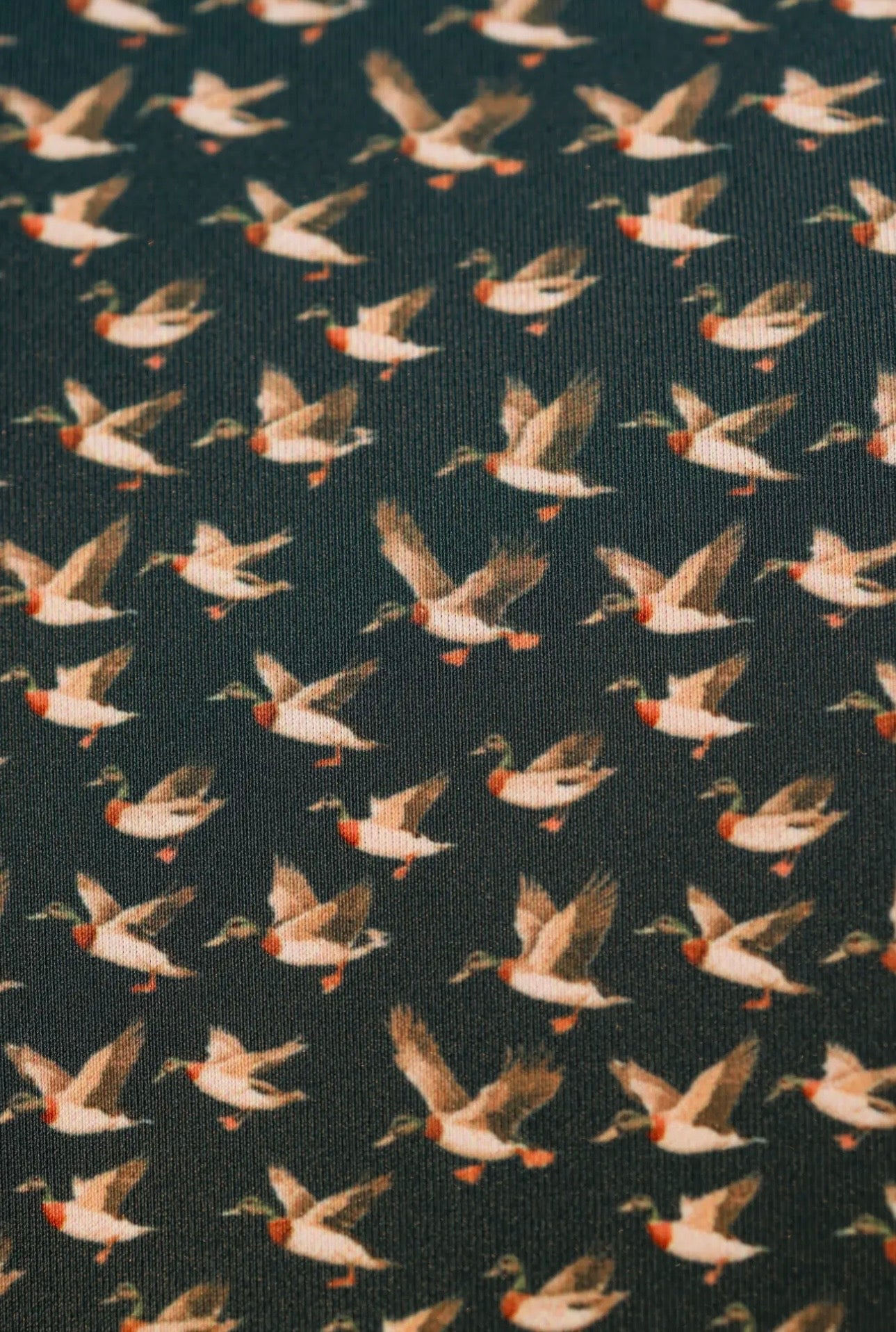 The Quack Polo