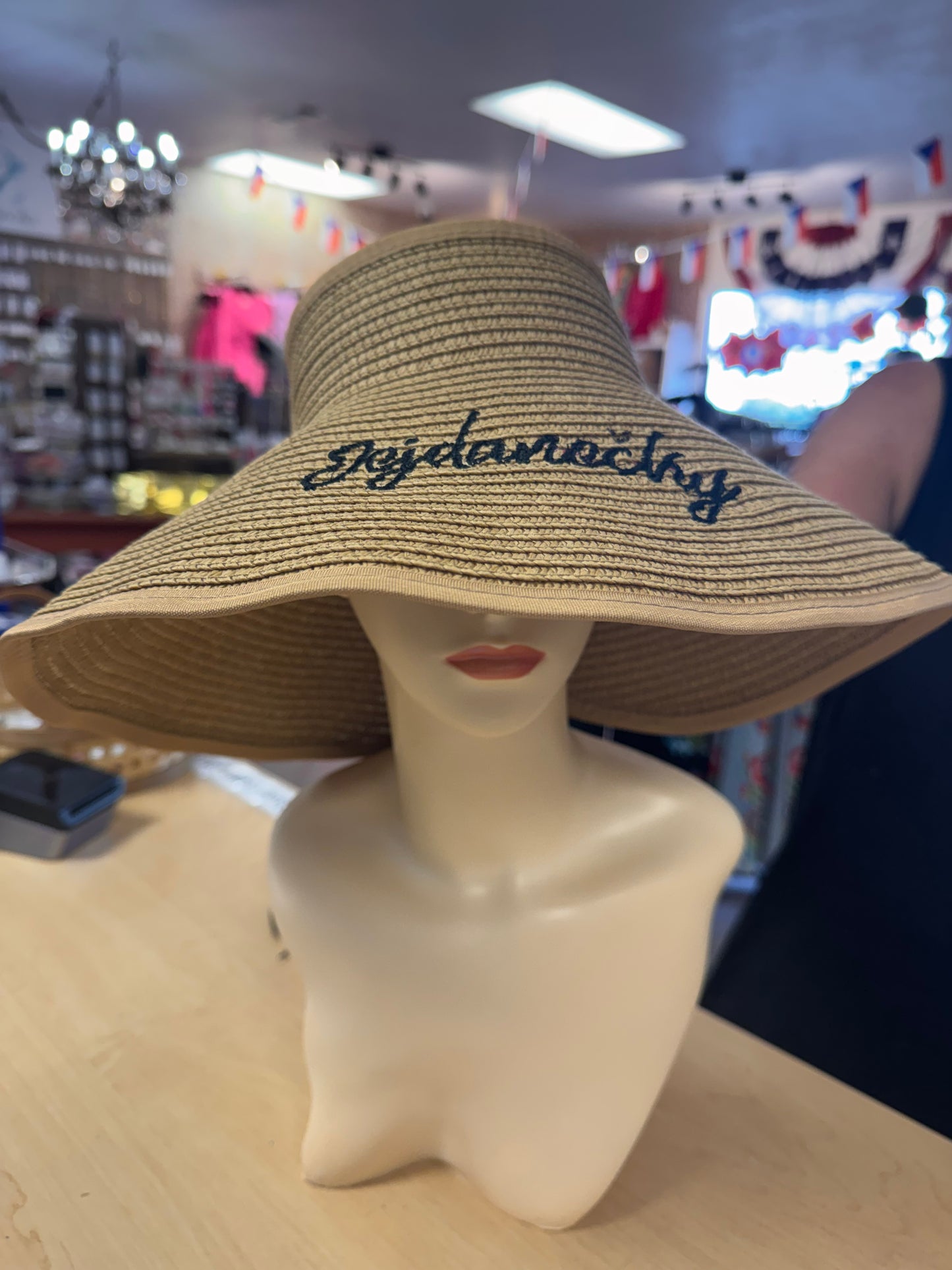 Jejdanečkey Sun Visors