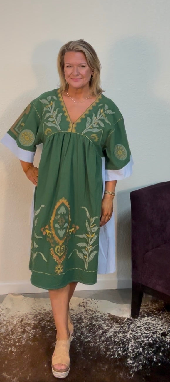 Contrast Sleeve Embroidered Dress