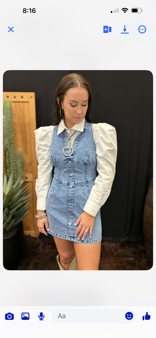 PraireLaneDenimDress